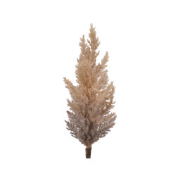 Herbe de la pampa crème – Déco festive