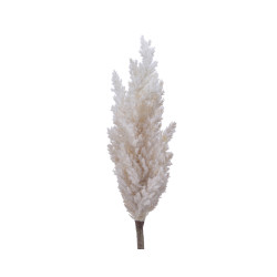 Herbe de la pampa crème 90 cm – Déco festive