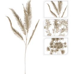 Branche tropicale champagne