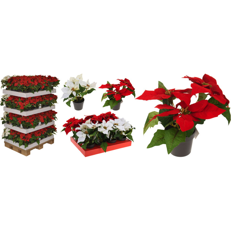 Mr Bricolage image produit pour l'impression
