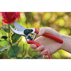 Sécateur en acier Ø 25 mm POLET Sécateur en acier Ø 25 mm POLET
