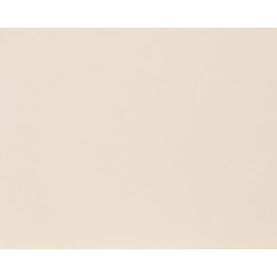 Panneau de meuble Biscuit 250 x 60 x 1,8 cm CANDO