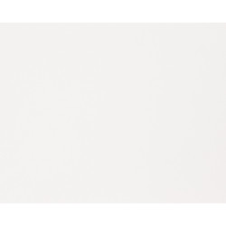Panneau de meuble Blanc clair 250 x 60 x 1,8 cm CANDO