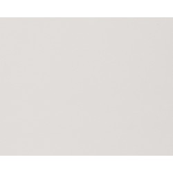 Panneau de meuble Gris clair 250 x 60 x 1,8 cm CANDO