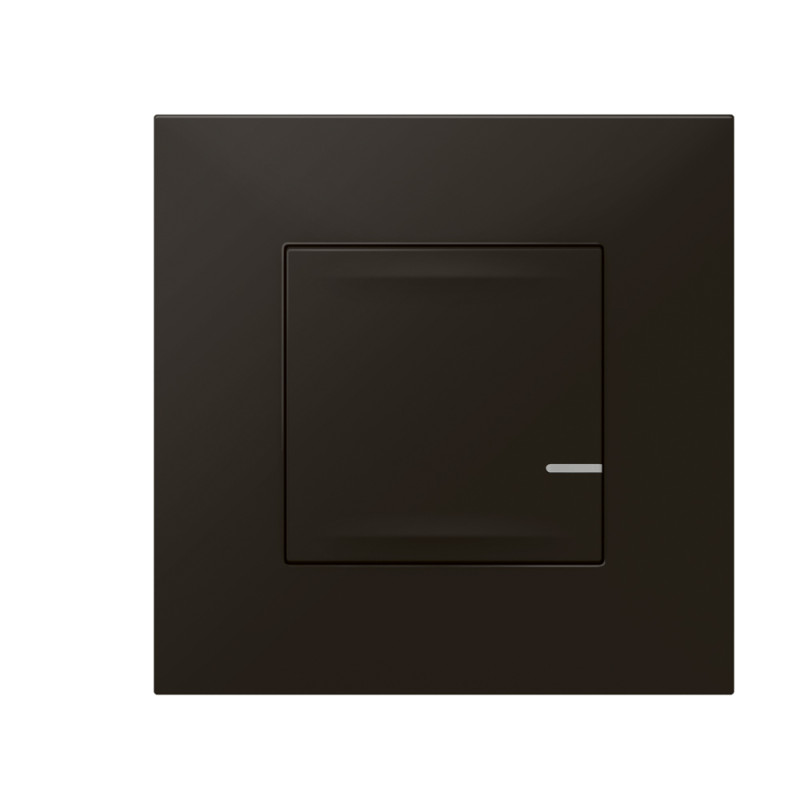 Legrand Valena Next with Netatmo interrupteur sans fil