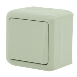 Interrupteur bipolaire Forix étanche LEGRAND – Sécurité | LEGRAND

