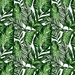 Feuille adhésive House Plants 67,5 x 200 cm JOY