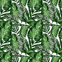 Feuille adhésive House Plants 67,5 x 200 cm JOY