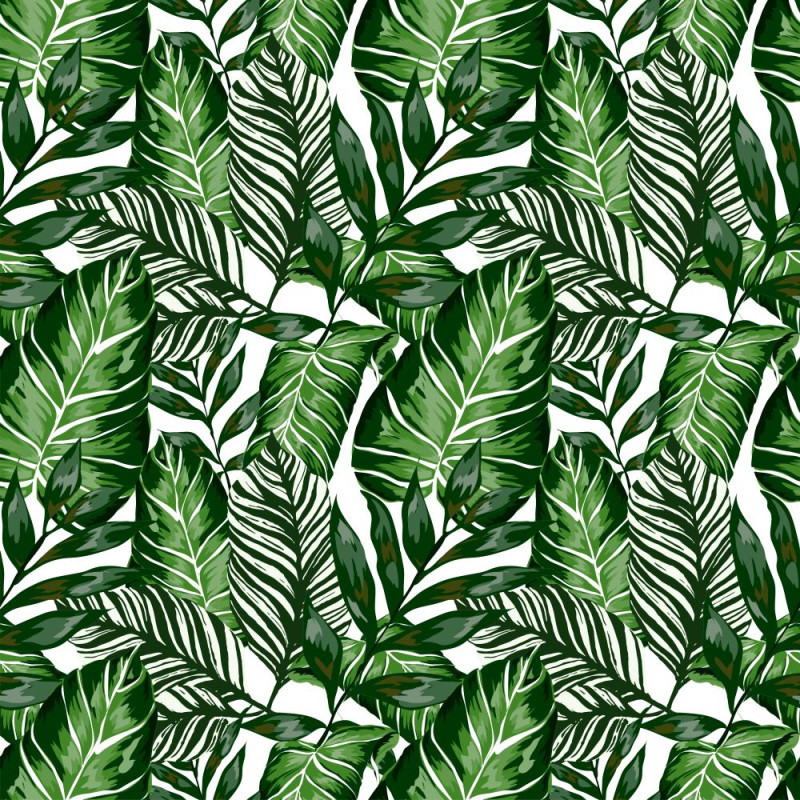 Feuille adhésive House Plants 67,5 x 200 cm JOY