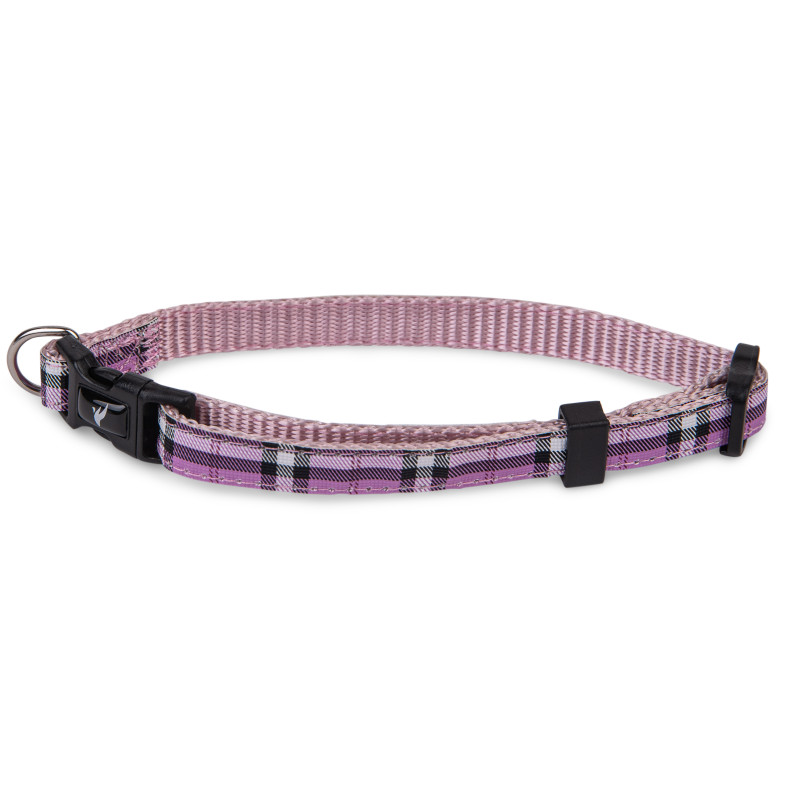 Collier pour chien Ecossais mauve 20 à 35 cm