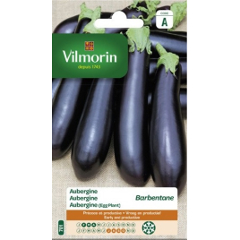 Semences d'aubergine Barbentane VILMORIN