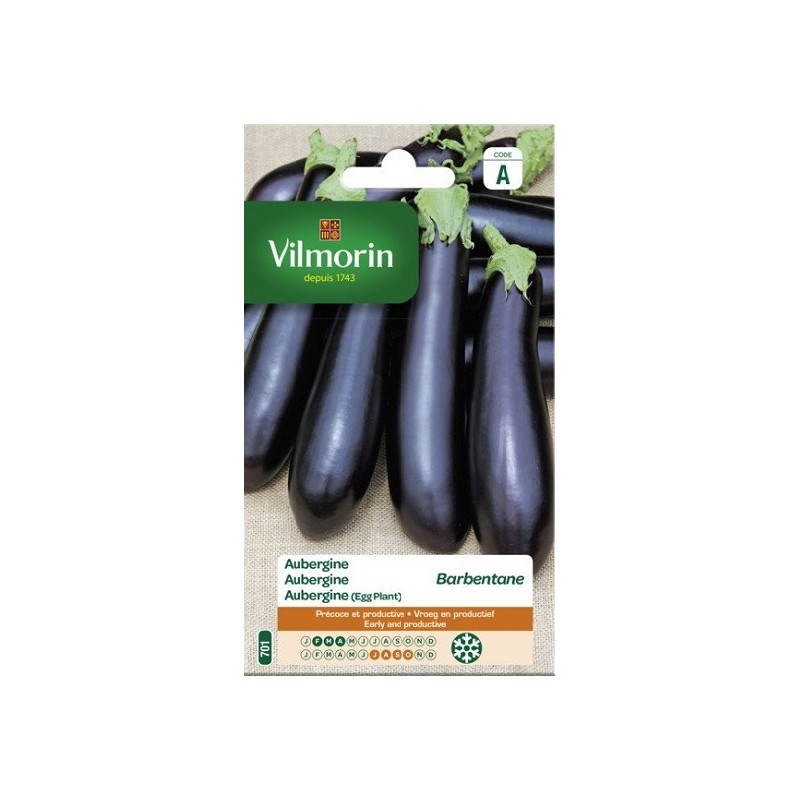 Semences d'aubergine VILMORIN