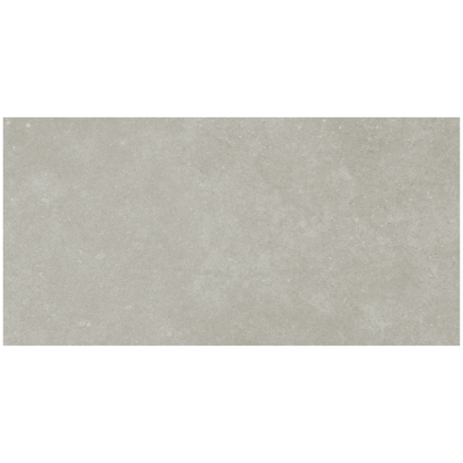 Carrelage de sol Namur gris 60 x 30 cm 5 pièces