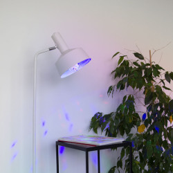 Ampoule disco P80 LED E27 motorisée XANLITE – ambiance festive | XANLITE Ampoule disco P80 LED E27 motorisée XANLITE – ambiance festive | XANLITE