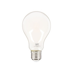 Ampoule LED E27 Blanc Chaud 17W – Éclairage Puissant | XANLITE