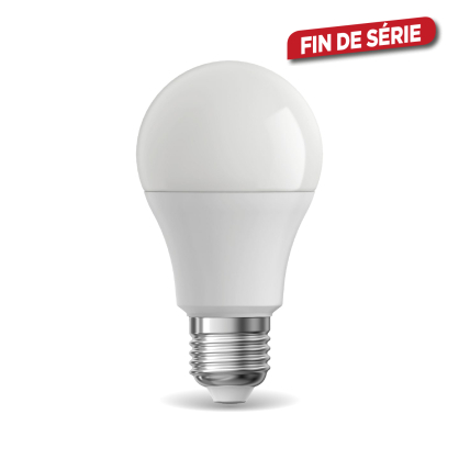 Ampoule LED E27 blanc chaud 470 lm 4,9 W INVENTIV