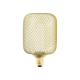 Ampoule cage dorée LED E27 blanc chaud 200 lm Ø 10 cm 4 W XANLITE