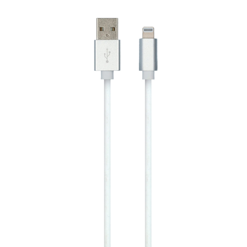 Câble USB - Lightning 1 m CARPOINT