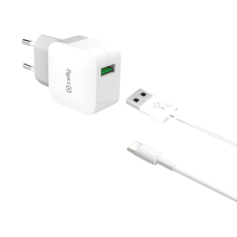 Chargeur secteur Turbo avec câble USB C 2,4 A