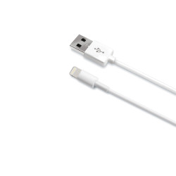 Câble de données USB - Lightning 1 m