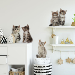 Planche de stickers Chatons 24 x 68 cm Planche de stickers Chatons 24 x 68 cm