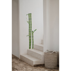 Planche de stickers Bambous 24 x 68 cm Planche de stickers Bambous 24 x 68 cm