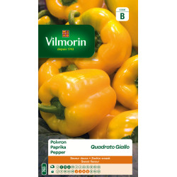 Semences de poivron Quadrato Giallo VILMORIN
