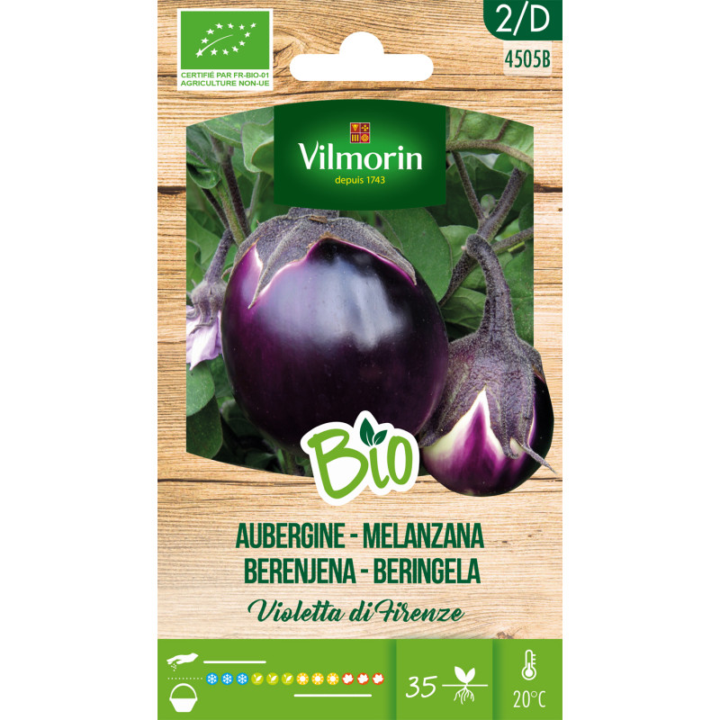 Semences d'aubergine Violetta Di Firenze Bio