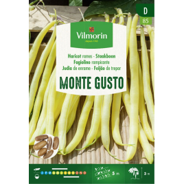 Semences de haricot à rames Monte Gusto VILMORIN