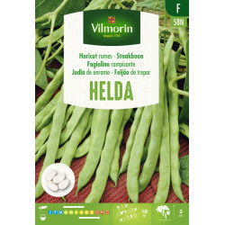 Semences de haricot à rames Helda VILMORIN