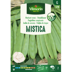 Semences de haricot à rames Mistica 125 g VILMORIN