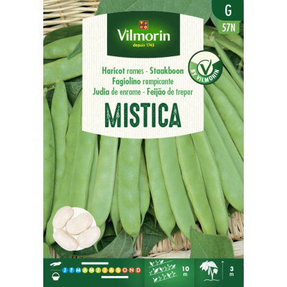 Semences de haricot à rames Mistica 125 g VILMORIN