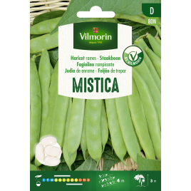 Semences de haricot à rames Mistica 25 g VILMORIN