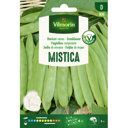 Semences de haricot à rames Mistica 25 g VILMORIN