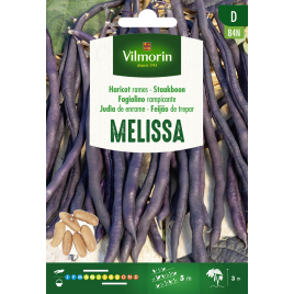 Semences de haricot à rames Melissa VILMORIN