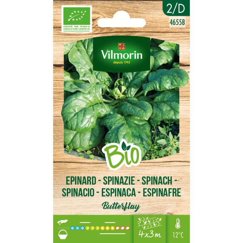 Semences d'épinard Butterflay Bio VILMORIN