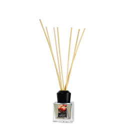 Diffuseur de parfum à bâtonnets pomme cannelle 50 ml Diffuseur de parfum à bâtonnets pomme cannelle 50 ml