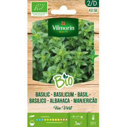 Semences de basilic Fin Vert Bio