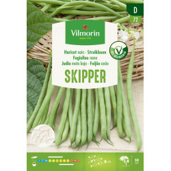Semences de haricot nain Skipper 20 g VILMORIN