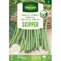 Semences de haricot nain Skipper 100 g VILMORIN