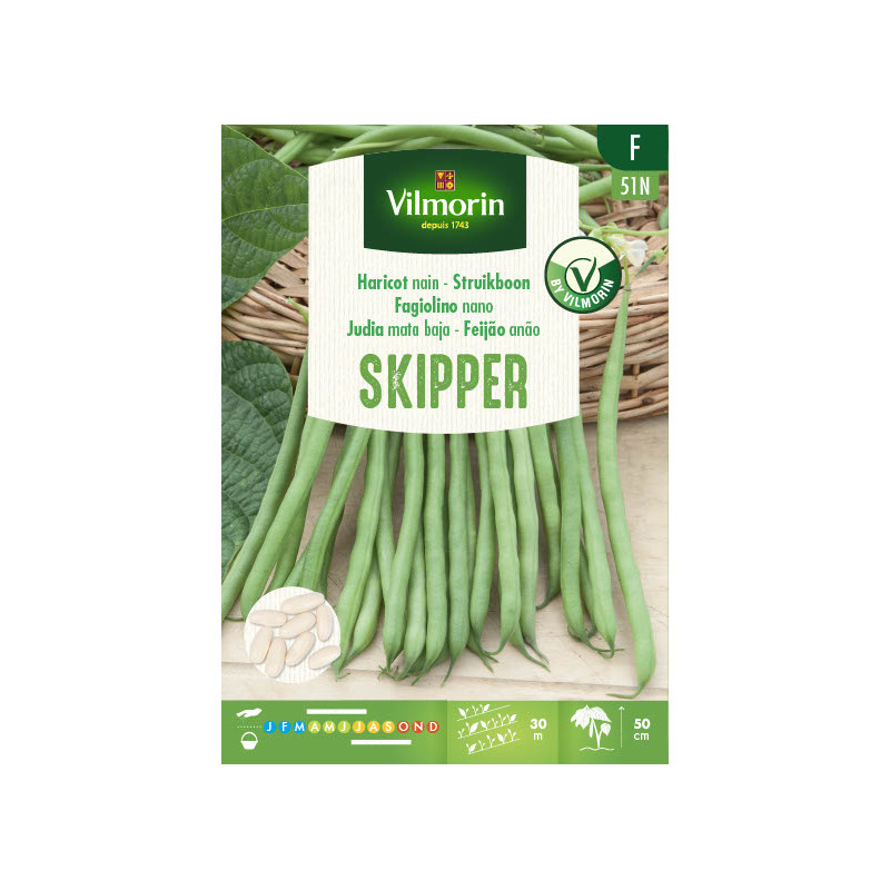 Semences de haricot nain Skipper 100 g VILMORIN