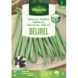 Semences de haricot nain Delinel 125 g VILMORIN