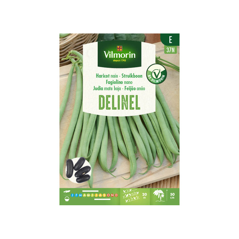 Semences de haricot nain Delinel 125 g VILMORIN