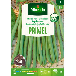 Semences de haricot nain Primel 150 g VILMORIN