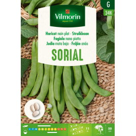 Semences de haricot nain Sorial 100 g VILMORIN