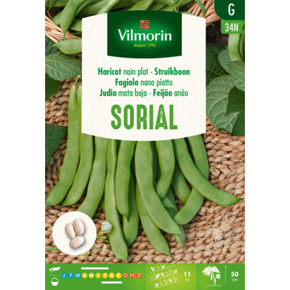 Semences de haricot nain Sorial 100 g VILMORIN