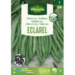 Semences de haricot nain Eclarel 100 g VILMORIN