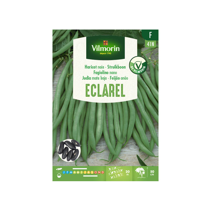 Semences de haricot nain Eclarel 100 g VILMORIN