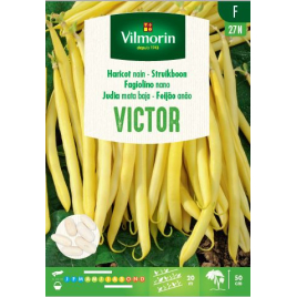 Semences de haricot nain beurre Victor 100 g VILMORIN