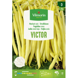 Semences de haricot nain beurre Victor 35 g VILMORIN